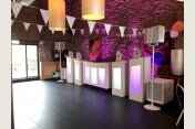 Entertainment Company - Stilvolles Hochzeit DJ Shows