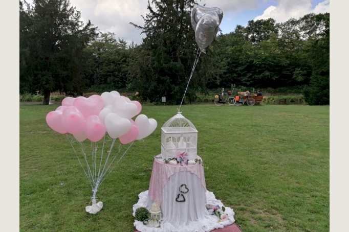 Weisse HOCHZEITSTAUBEN, HERZHELIUMBALLONS Sie suchen ein schönes Event oder Geschenk zur HOCHZEIT?